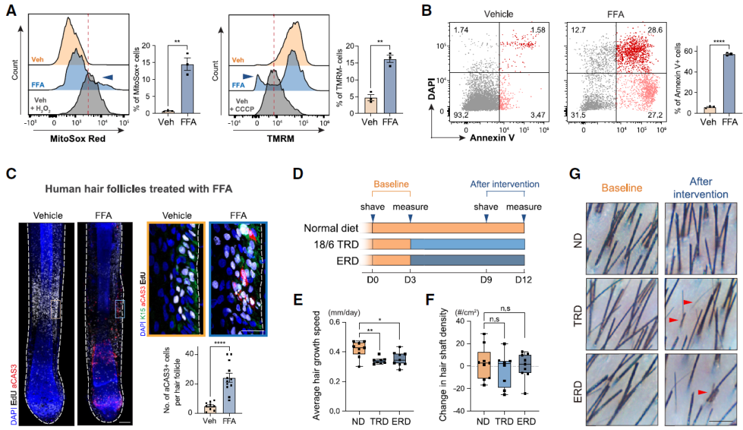 技术资料图片10