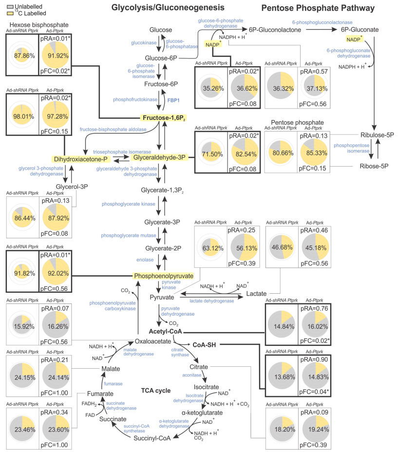 技术资料图片11