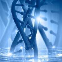 ChIP-seq