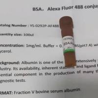 星座链球菌星座亚种核酸检测试剂盒（荧光PCR法）