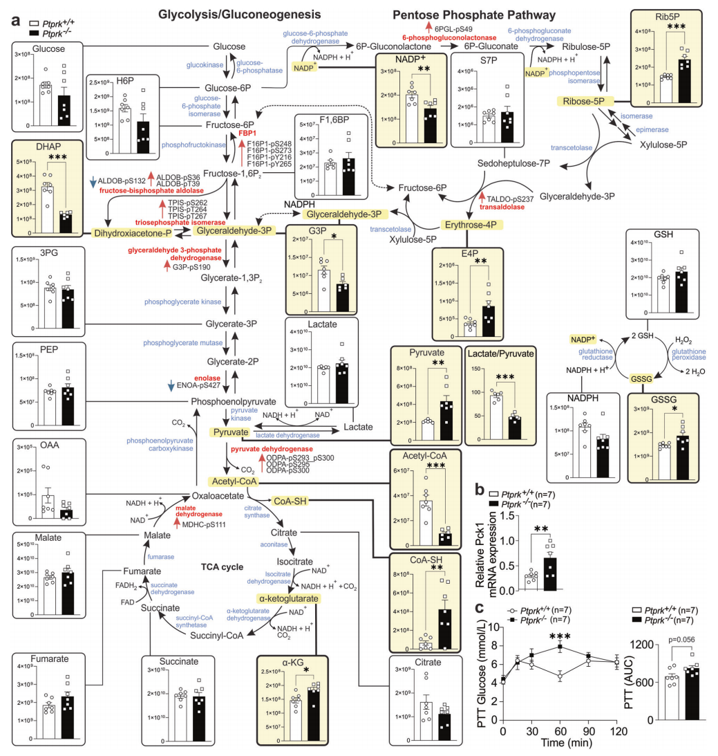 技术资料图片18