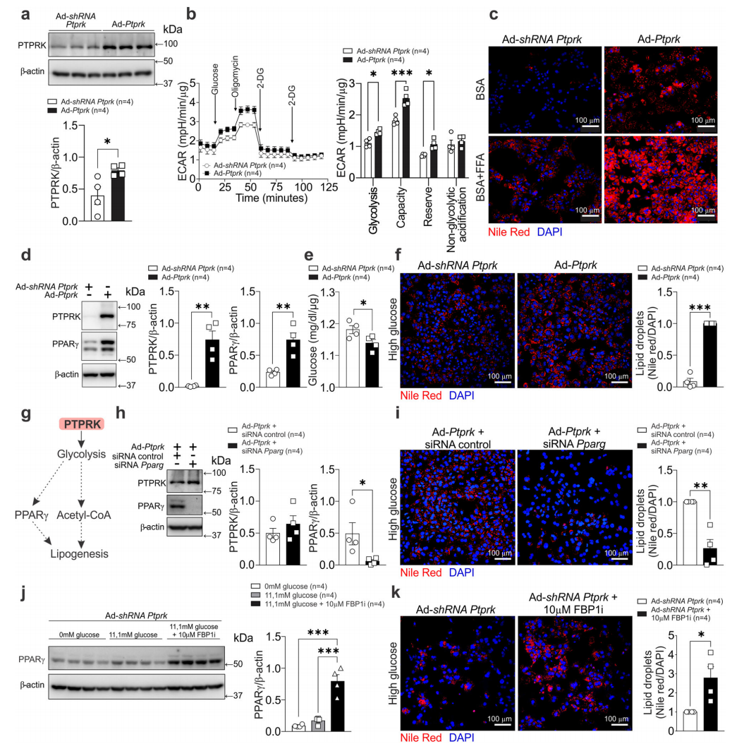 技术资料图片10