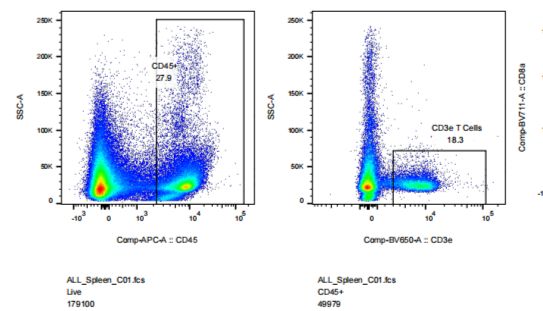 脾脏单细胞悬液制备指南（酶解法）