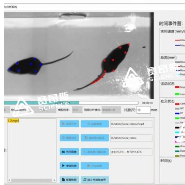 动物精细行为分析软件