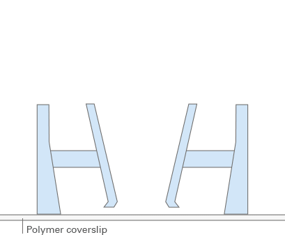 ibidi 3D 细胞培养微插件玩转指南