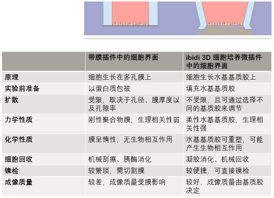 ibidi 3D 细胞培养微插件（Micro-Insert 3D）简介