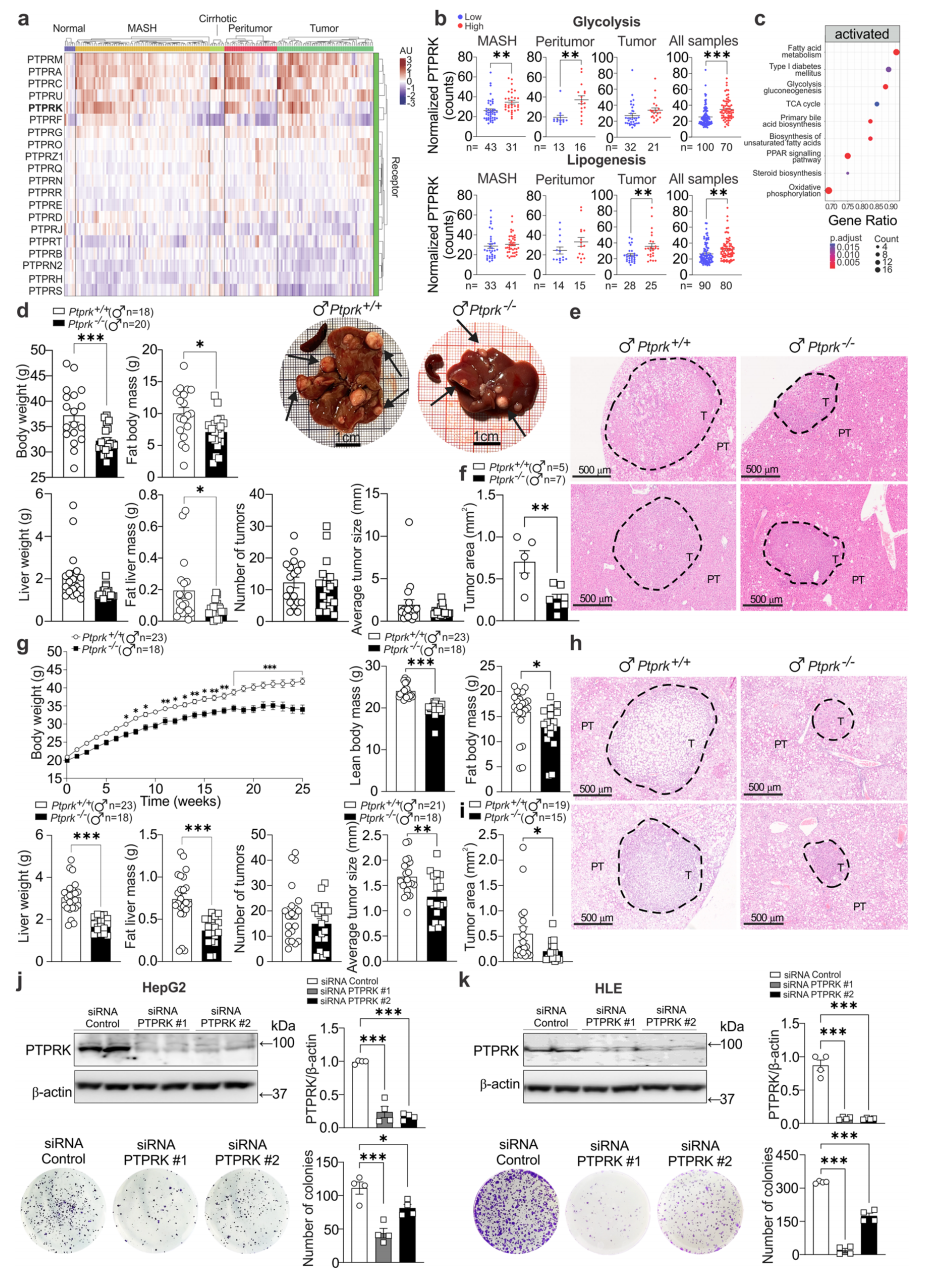 技术资料图片19