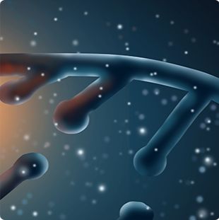 外泌体非编码RNA测序