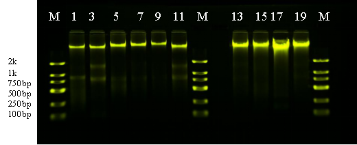 产品细节图片11