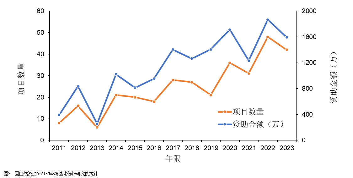 国自然研究热点解析|“O-GlcNAc糖基化修饰