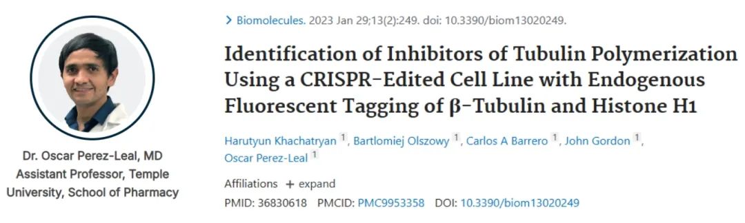单细胞分选与高内涵成像技术联手，精准编辑细胞模型，加速药物发现之旅