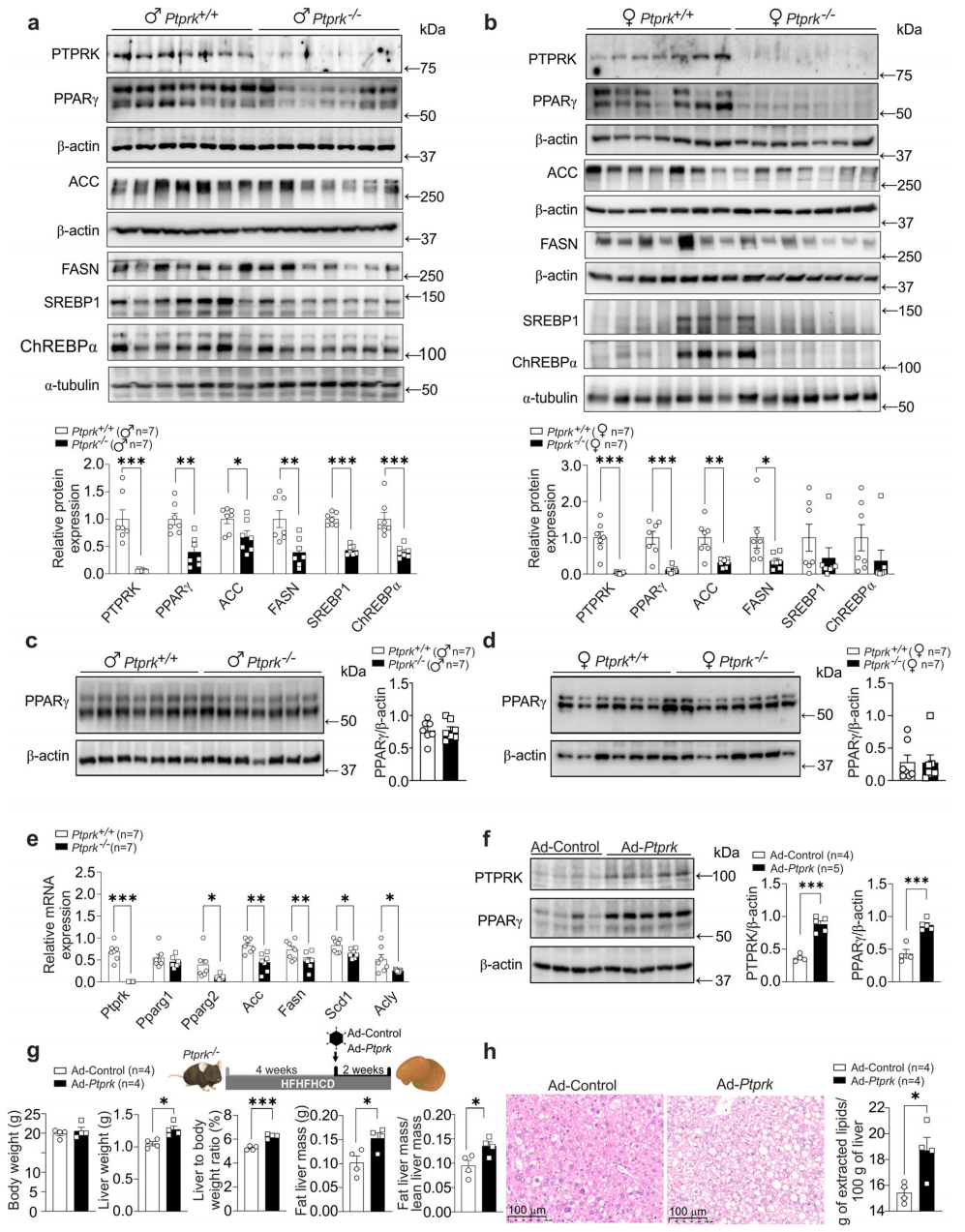技术资料图片14