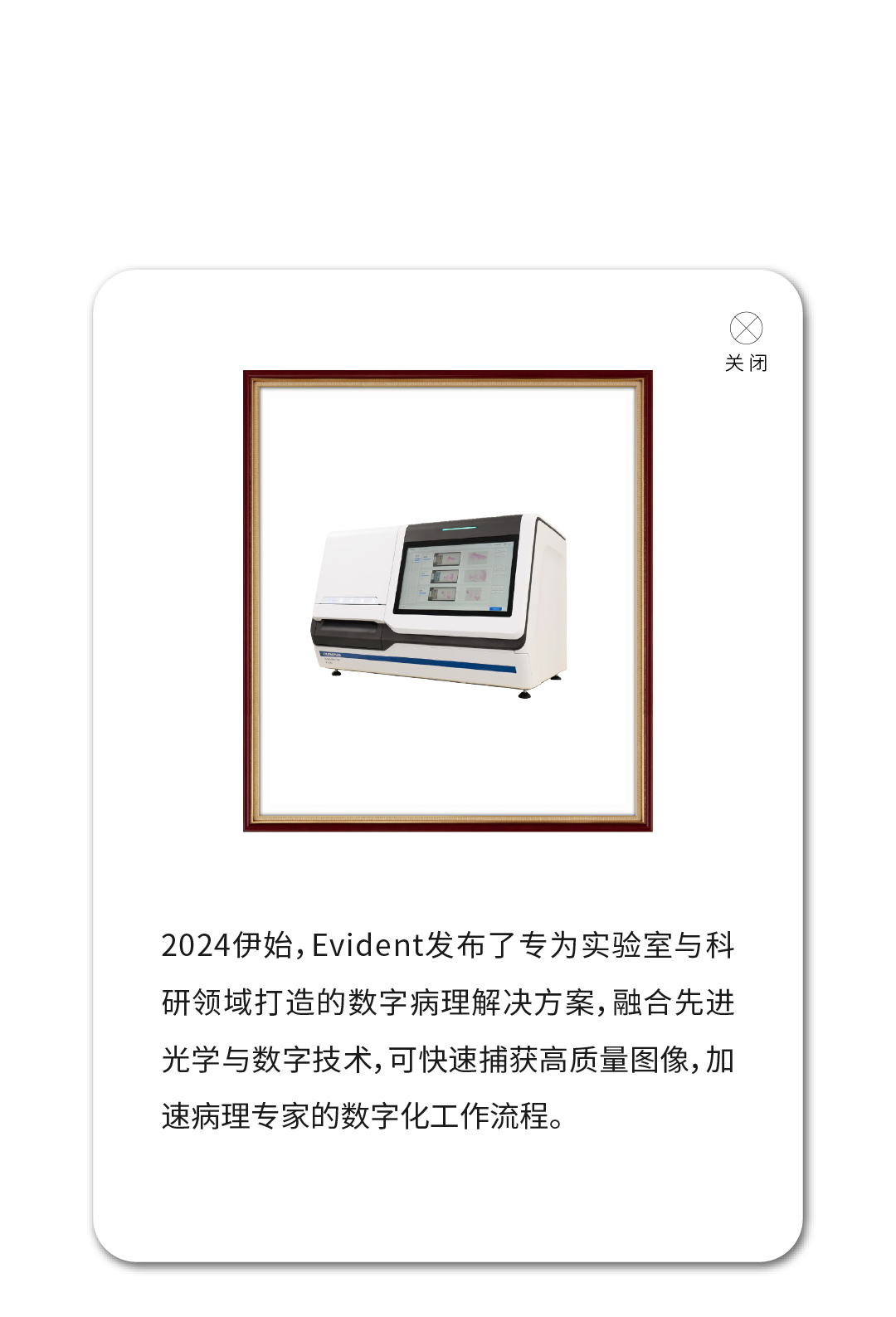 鍥為【2024_鐢绘澘 2-1.png