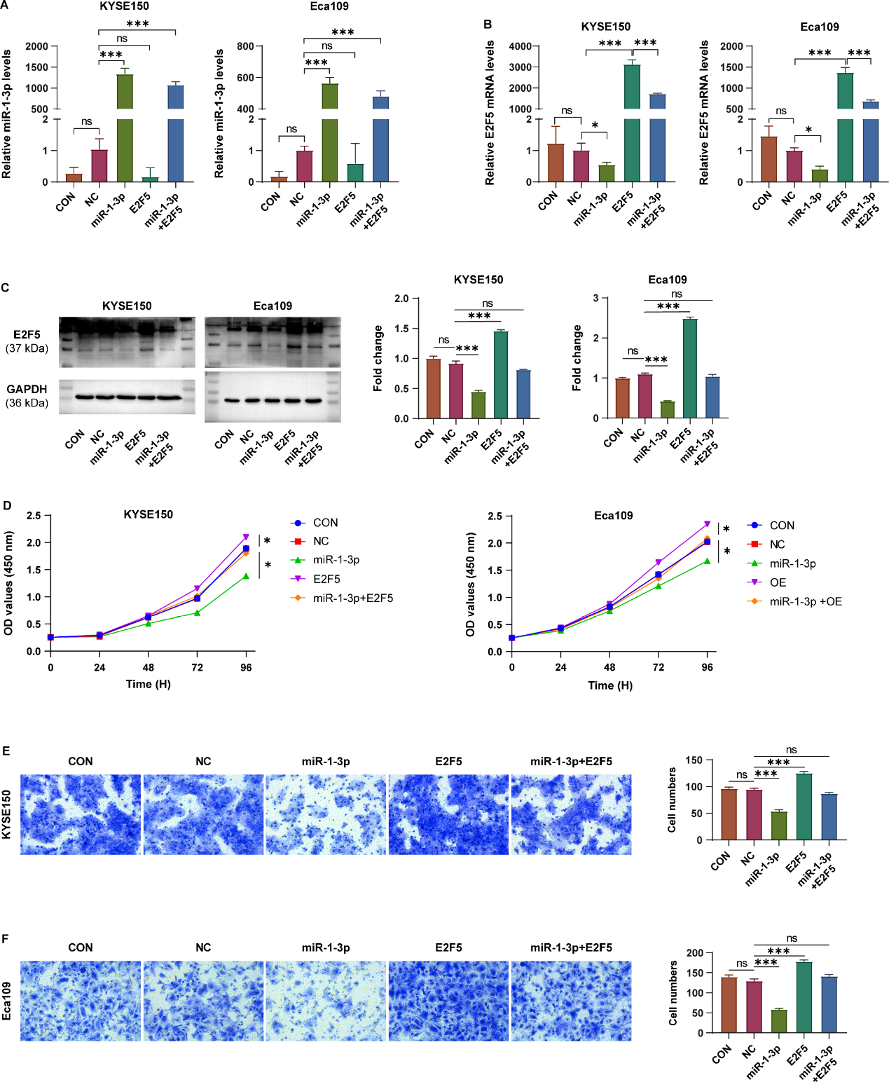 细胞转染 细胞转染