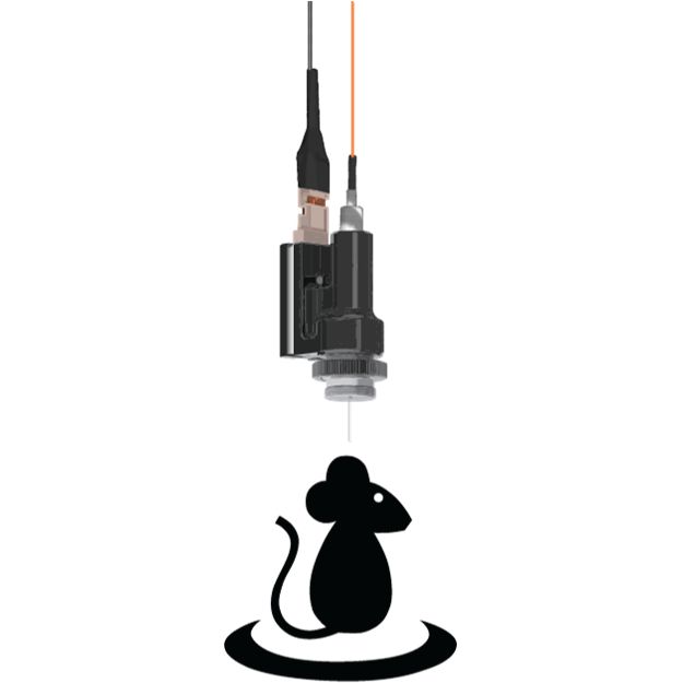 钙成像;活体动物神经元显微钙成像系统