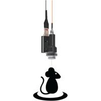 钙成像;活体动物神经元显微钙成像系统