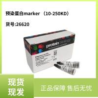Thermo Fisher：预染蛋白marker （10-250KD） 货号：26620-10×250ul