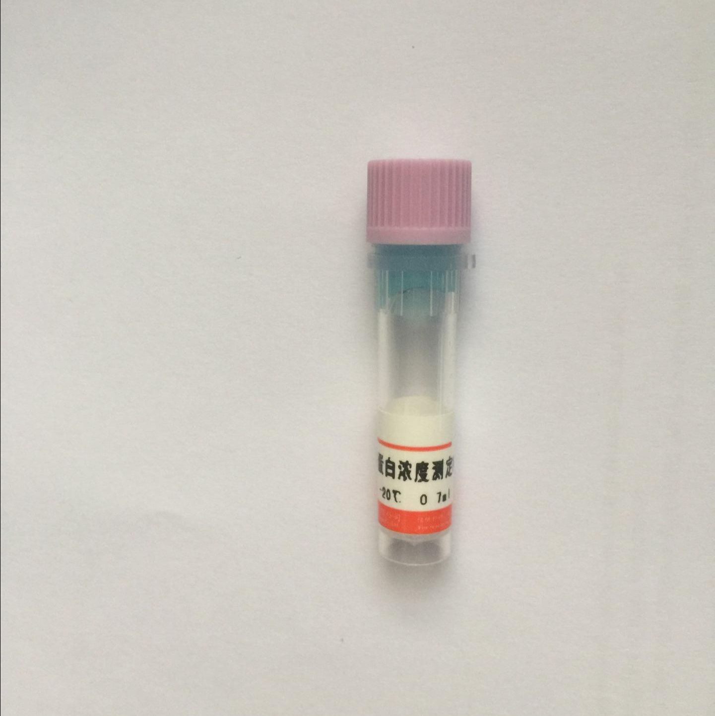 IHC kit 免疫组化试剂盒（抗兔）