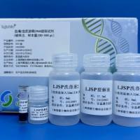 血清/血浆游离DNA提取试剂（磁珠法）