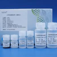 ccfDNA提取试剂（磁珠法）