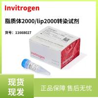 Invitrogen：脂质体2000转染试剂 货号：11668027-0.75mL