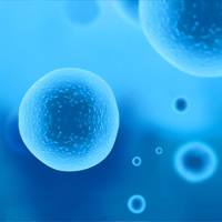 墨卓（MobiDrop）单细胞转录组测序