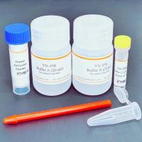 YN-058 Minute™ 酵母/真菌细胞核和细胞质蛋白提取试剂盒