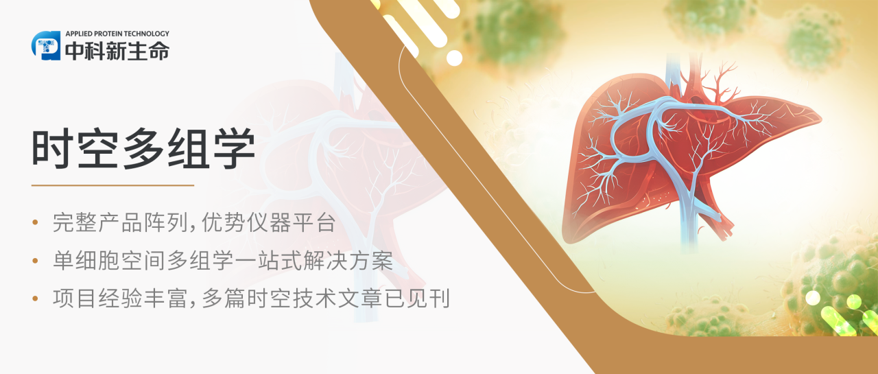 Nat Cancer | 揭开肝癌复发之谜：上海市免疫学研究所等揭示癌细胞逃避免疫攻击的“伪装术”