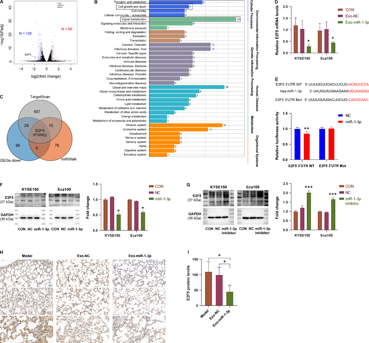 生物信息学分析 生物信息学分析
