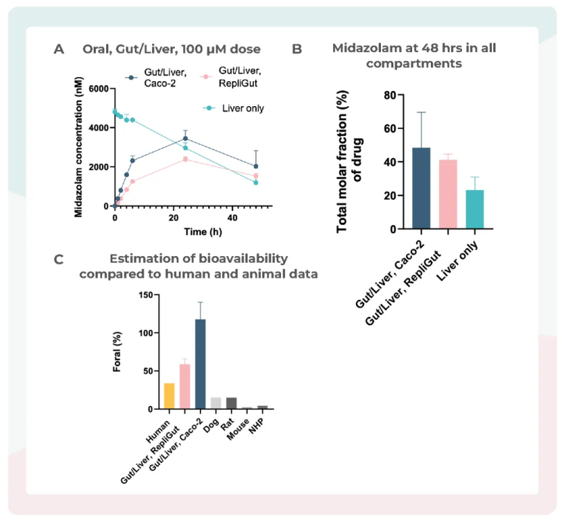 肠-肝器官芯片改善Midazolam人类生物利用度的相关性