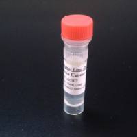 小鼠抗HIV(P24)/MonoclonalMouseAnti-HIV(P24)