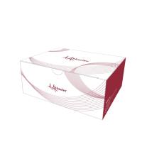 Mighty Small 蛋白预制胶