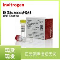 Invitrogen：脂质体3000转染试剂 货号：L3000015-1.5mL
