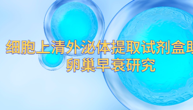 IF=7.1| Umibio细胞上清外泌体提取试剂盒（UR52121）助力客户卵巢早衰研究！