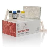 Invitrogen Human Myeloperoxidase Instant ELISA™