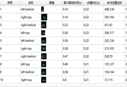 大小鼠步态分析 步态行为分析系统