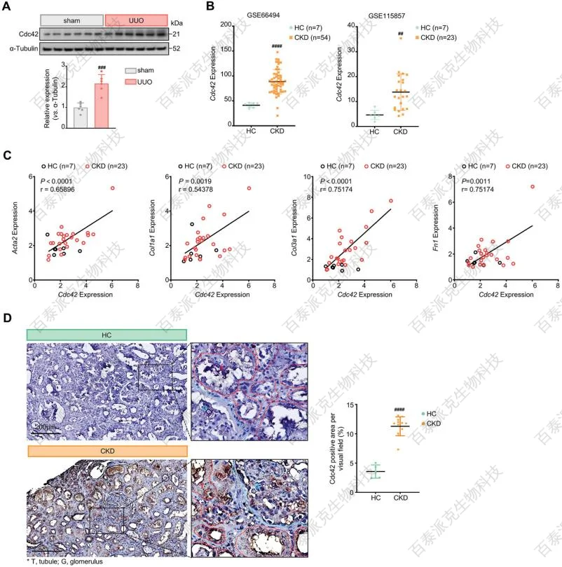 chemical-proteomics-gx2-8