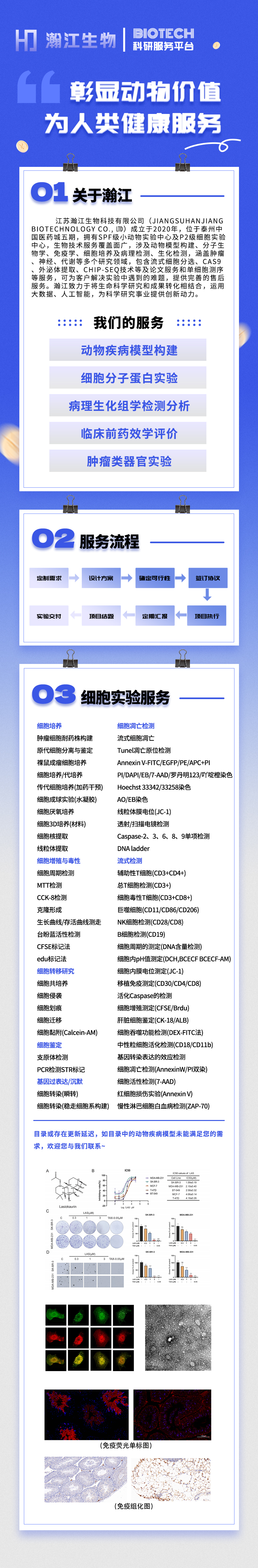 细胞相关试验/流式检测/流式细胞凋亡检测/流式细胞周期检测