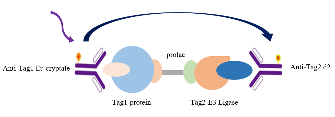 技术资料图片11