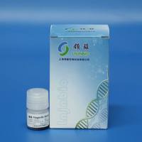 二氧化硅磁性微球