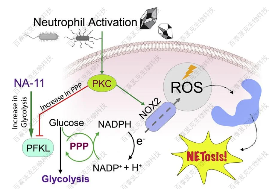 chemical-proteomics-gx1-3