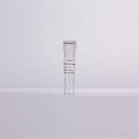 2×热启动探针法qPCR预混液