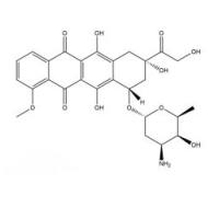 DOX-PEG-DSPE   DSPE-PEG-DOX     Doxorubicin-PEG-DSPE阿霉素/多柔比星-聚乙二醇-磷脂