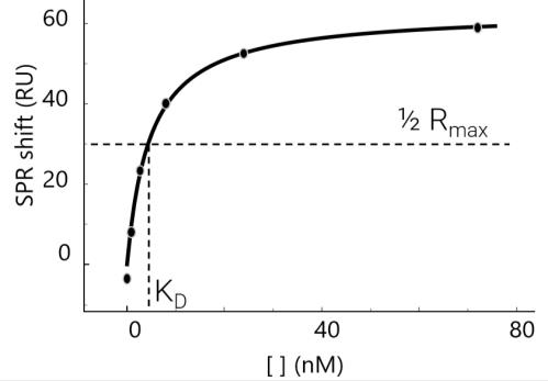 利用P4SPR分子互作仪进行抗体结合分析——比较静态和动态 SPR 特性