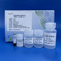 全血DNA提取试剂（磁珠法、样本量1-2 mL）