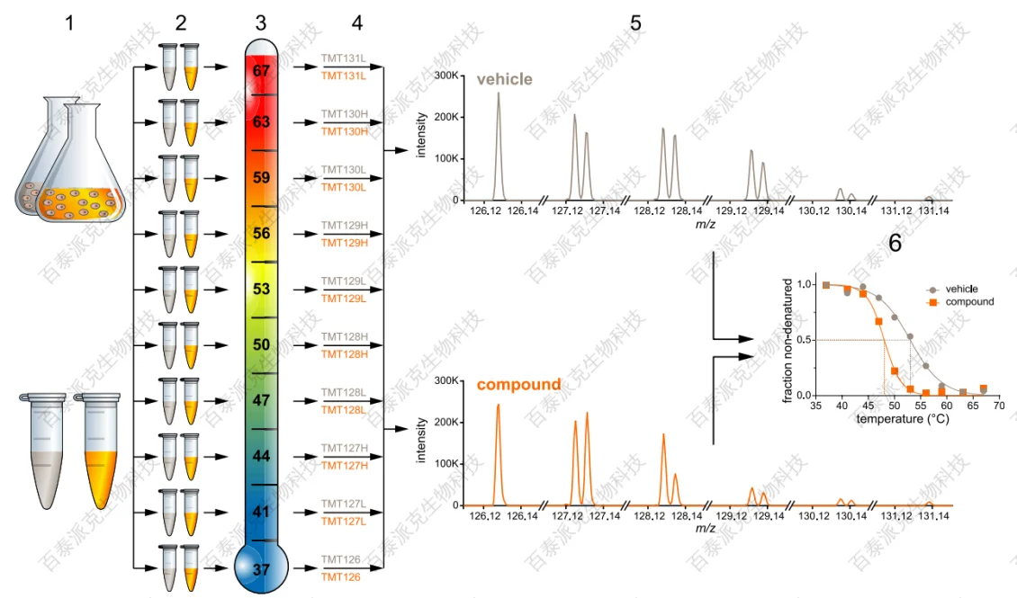 chemical-proteomics-gx1-1