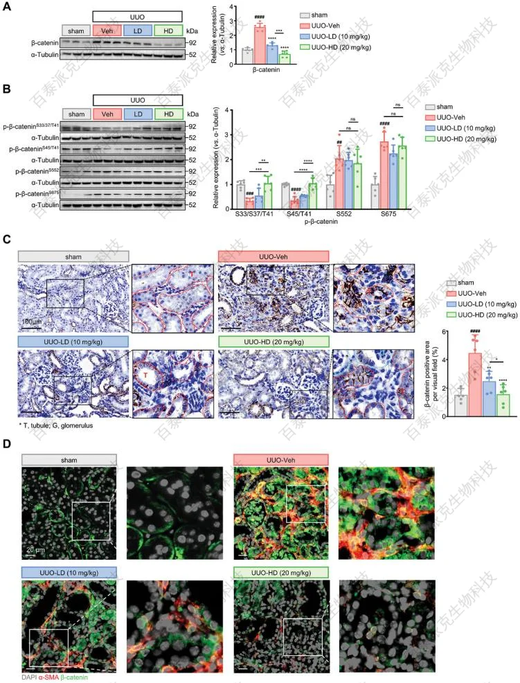 chemical-proteomics-gx2-5