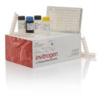 Invitrogen Human CRP Instant ELISA™ Kit
