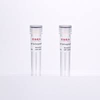 逆转录合成第一链cDNA试剂盒-100rxns