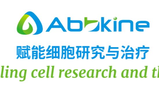 Annexin V-AbFluor™ 488/PI 双染细胞凋亡检测试剂盒实验操作流程
